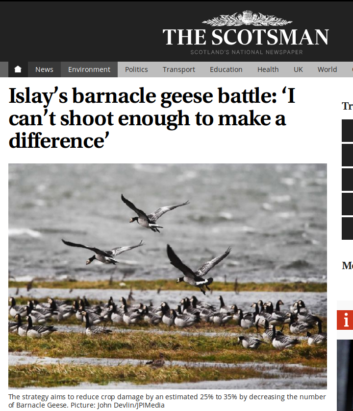 https://www.scotsman.com/news/environment/islay-s-barnacle-geese-battle-i-can-t-shoot-enough-to-make-a-difference-1-4831537